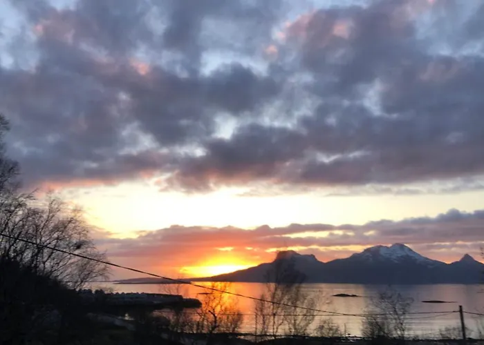Villa Midnight Sun Road Bodø