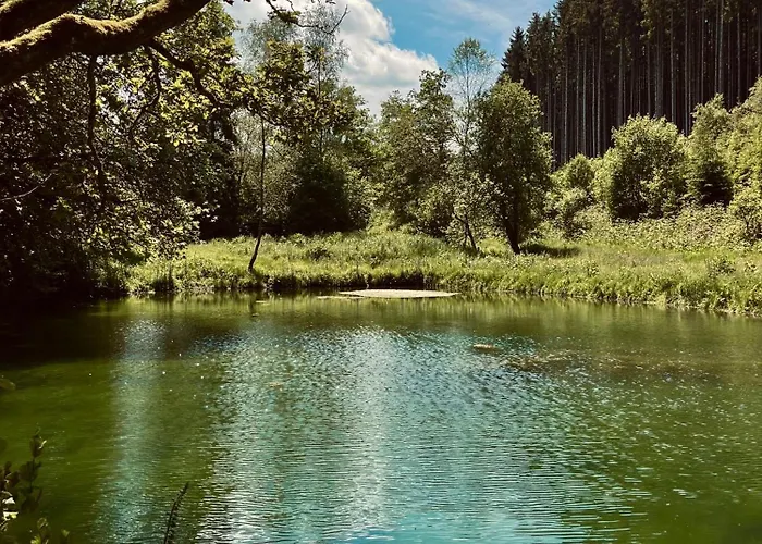 The Green Shepherd, A Charming Authentic Cabin Surrounded By Beautiful Countryside Vielsalm