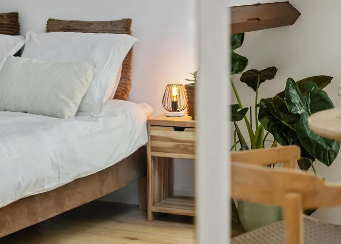 Bed and Breakfast De Hill Rotterdam