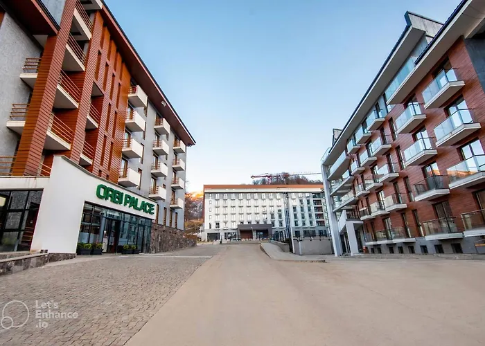 Orbi Palace Bakuriani 101