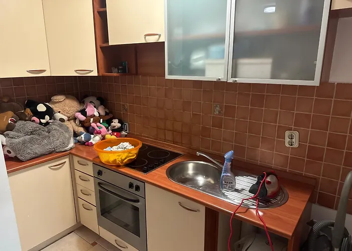 Ferienwohnung Stan Na Dan Dami Sarajevo