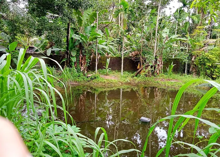 Villa De Amore Alappuzha