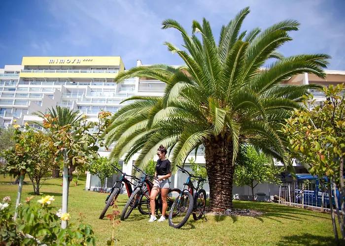 Maslinica Mimosa Lido Palace Hotel Rabac