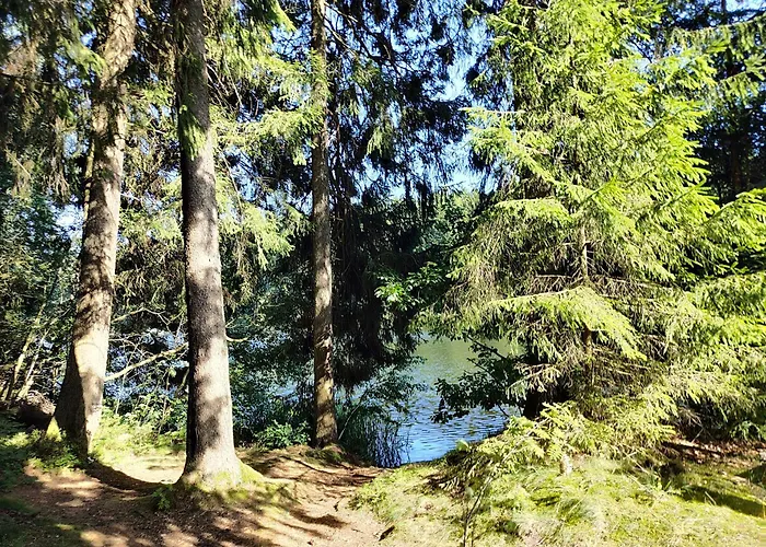 Ferienwohnung Natur Suite Hahnenklee - Harz, Balkon&Parkplatz Goslar
