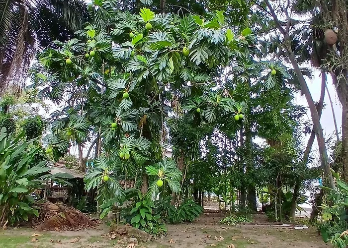 Studio7 Terra Prox Centro Paraty