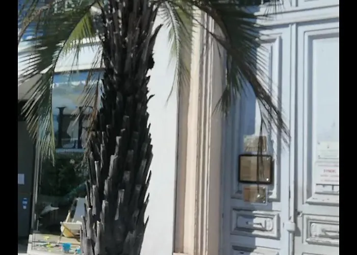Apartment Cosy Shared Center Of Cannes
