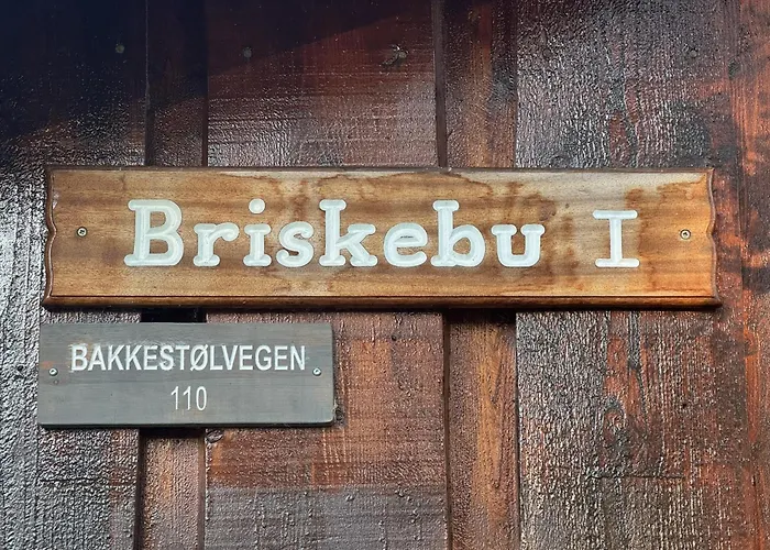 Briskebu, Cosy Cabin By Ski Slopes Geilo