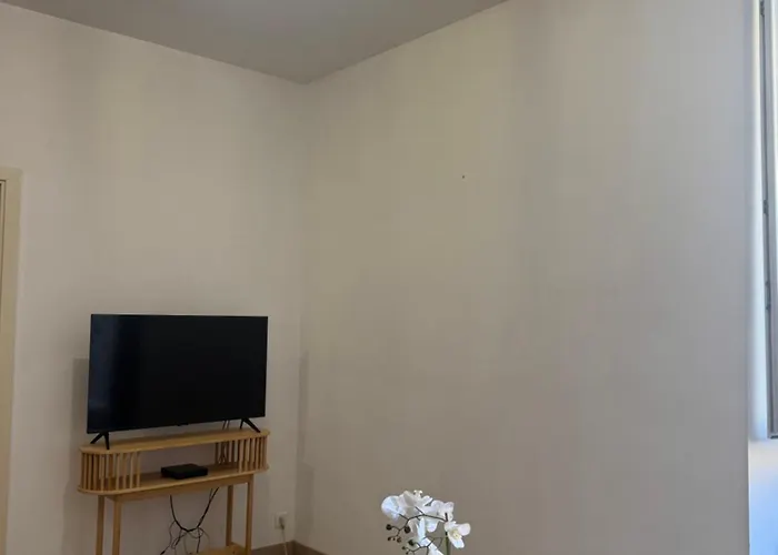 Appartement Lumineux Et Cosy Au Coeur De La Ville Ajaccio 