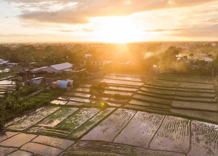 Little Farm House Kerobokan Near Seminyak