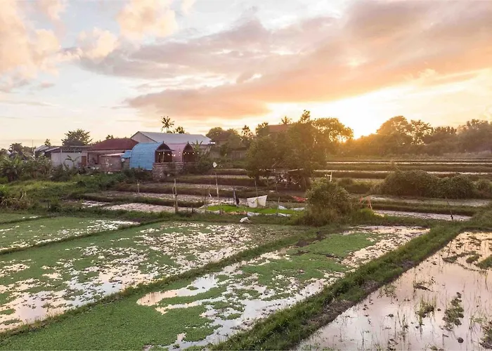 Little Farm House Kerobokan Near Seminyak