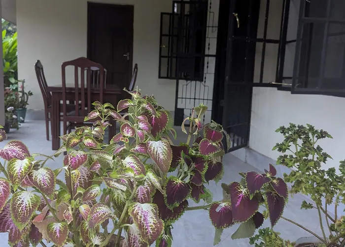 I Love Africa Villas Moshi