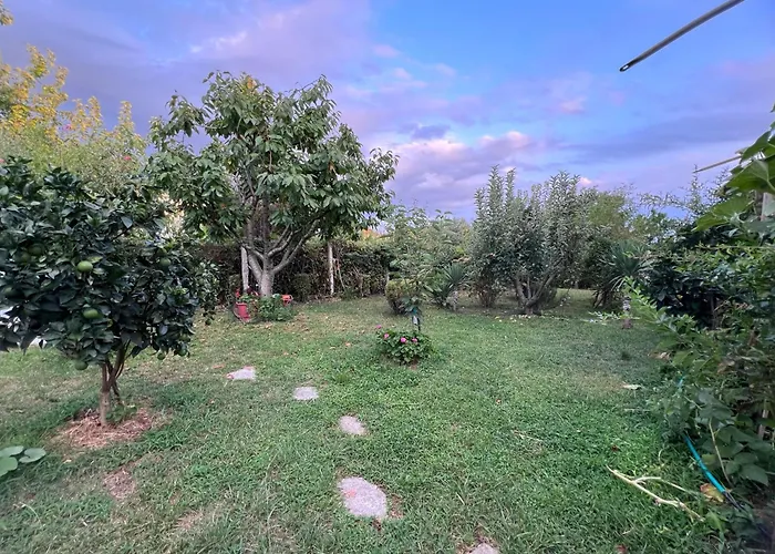 Luxury Villa - Dar Al Shams 01 Tirana
