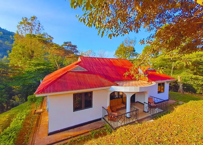 Dole Homes Lushoto
