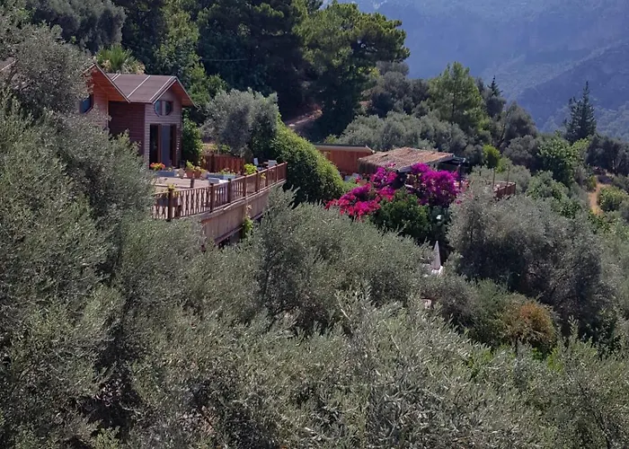 Kabak Armes Otel Fethiye