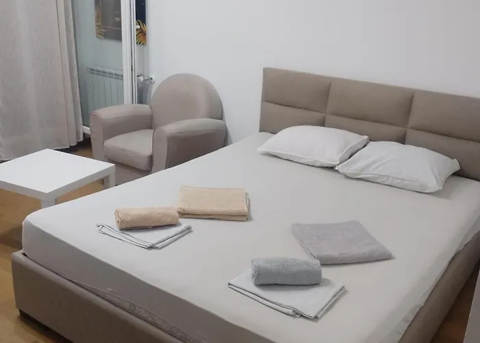 Ferienwohnung Апартман Пасент Novi Sad