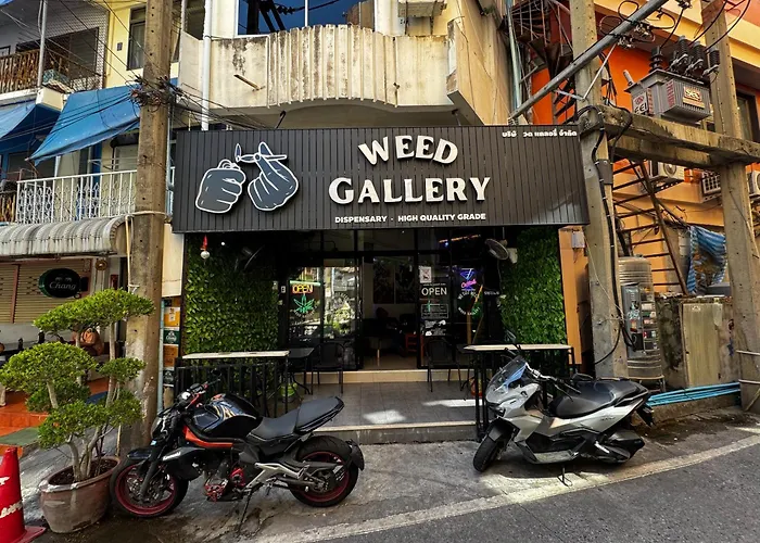W33D Gallery Pattaya