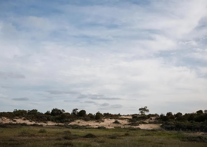 Ruim, Stijlvol Gerenoveerd Vakantieappartement Voor 4 Personen Vlak Bij Zee En De Duinen De Panne