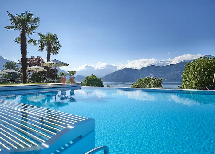 Hotel Alexander Weggis