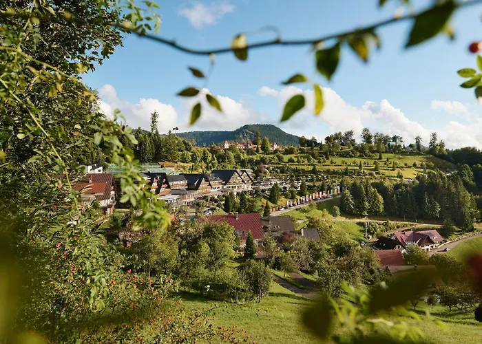 Hotel Dollenberg Bad Peterstal-Griesbach