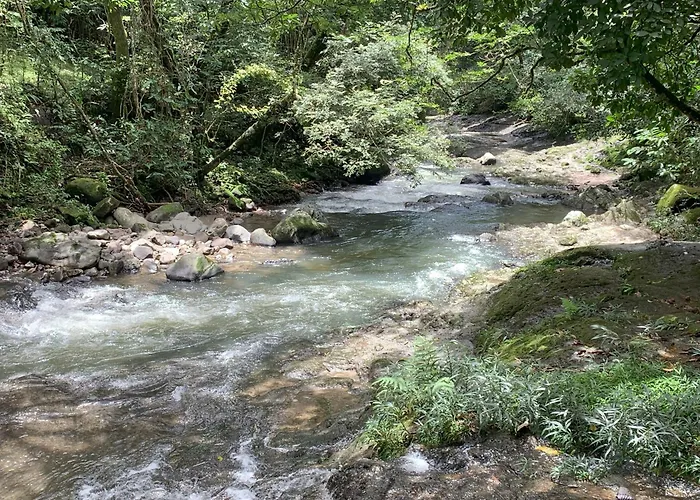 Los Laureles El Valle De Anton
