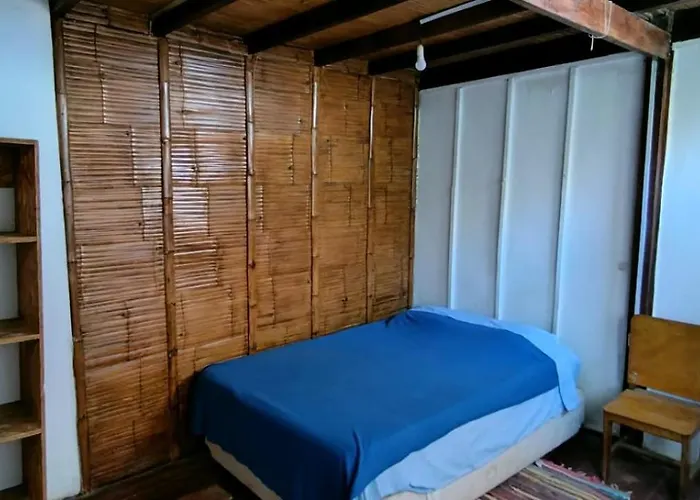 Dondelachata Máncora