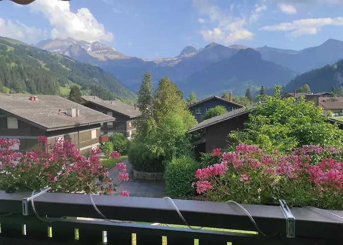 Ski Season - 3 Bedroom Apartment - Stunning View - Lenk im Simmental