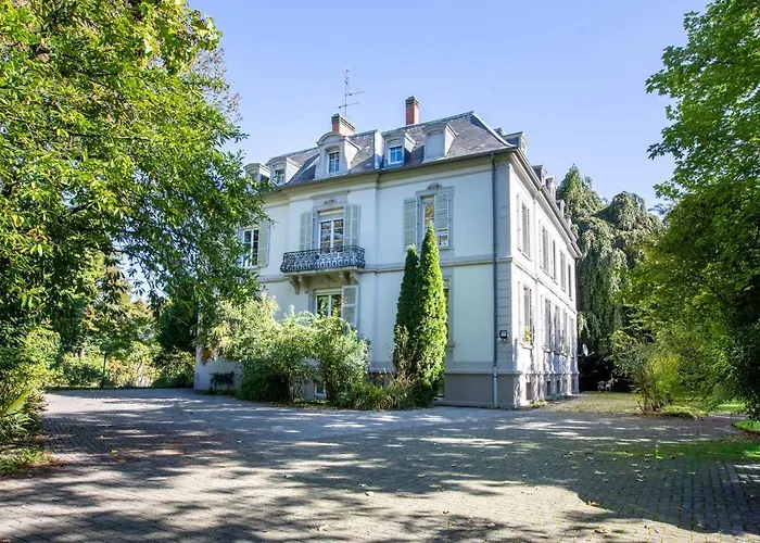 Grande Suite, Maison De Maitre, Parking Prive - Hyper Centre Mülhausen