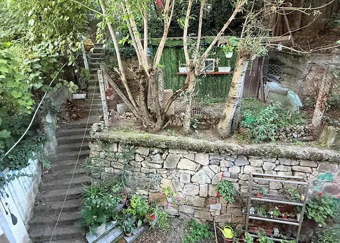 Apartment Near Central Park With Garden View Cluj-Napoca