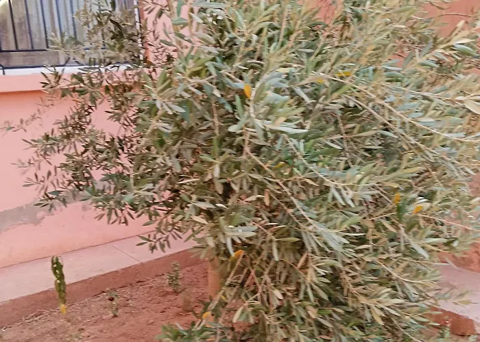 Ferienwohnung Loger Marrakech Marrakesch