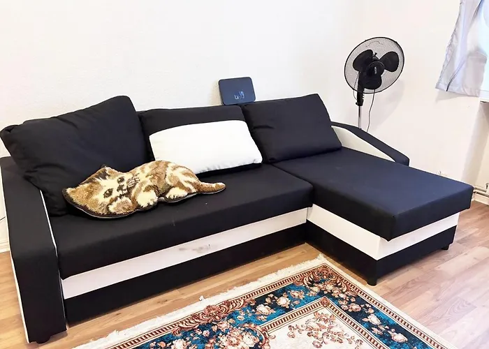 1Room Flat with Kitchen Near Neukölln&Kreuzberg Berlin