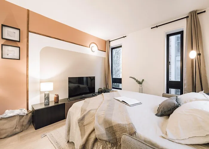 Emir - 1 Chambre A Vaugirard Paris