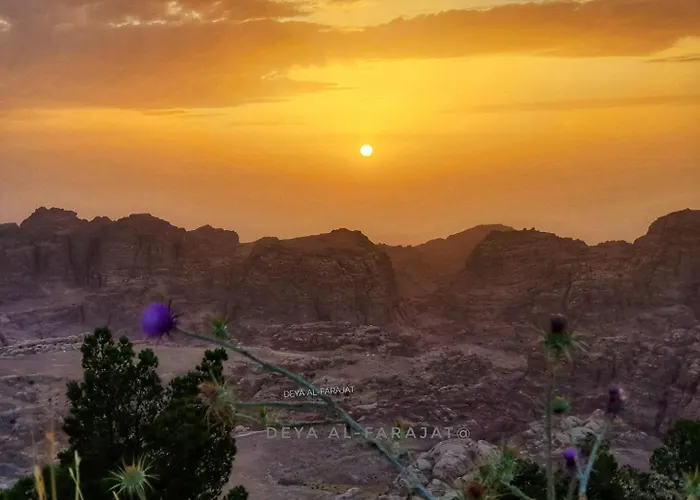 Little Petra Heritage Village Wadi Musa