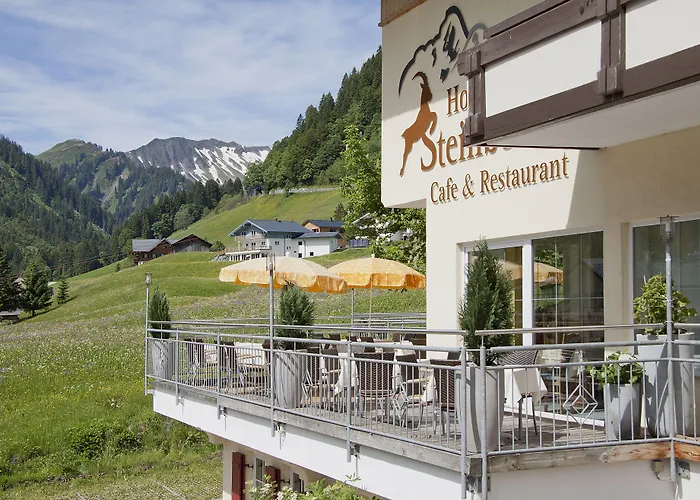 Hotel Steinbock Mittelberg