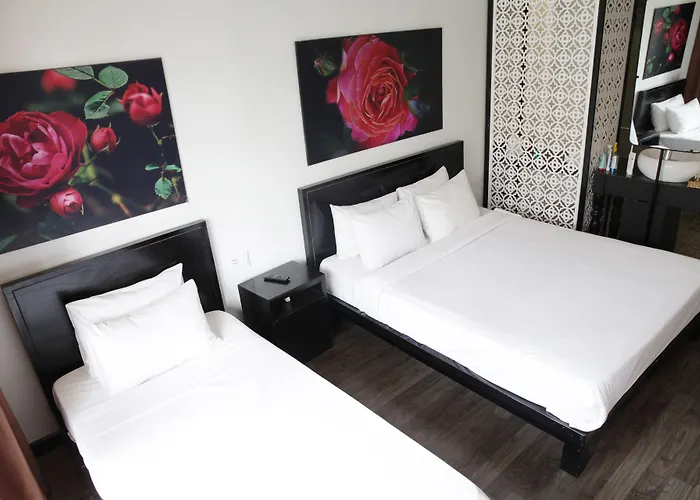 Thanh Binh 2 Hotel Hoi An