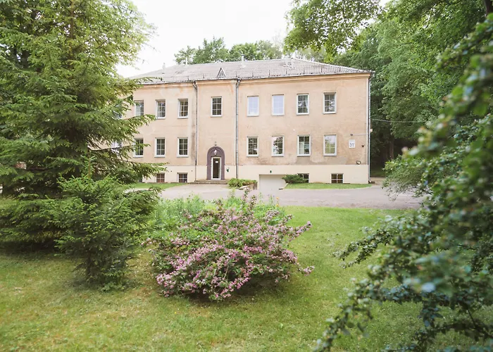Downtown Forest Hostel & Camping Wilna