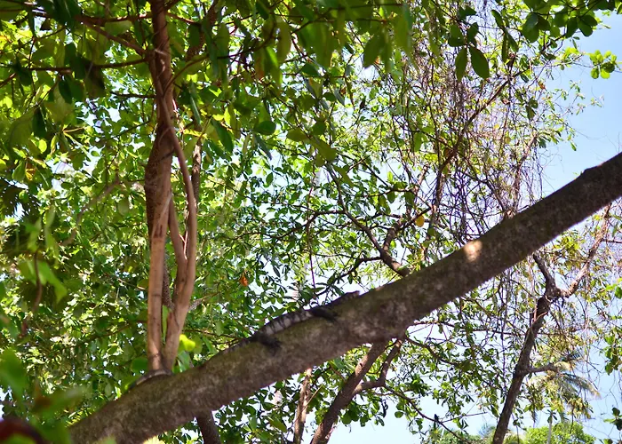 Mihin Villa Bentota