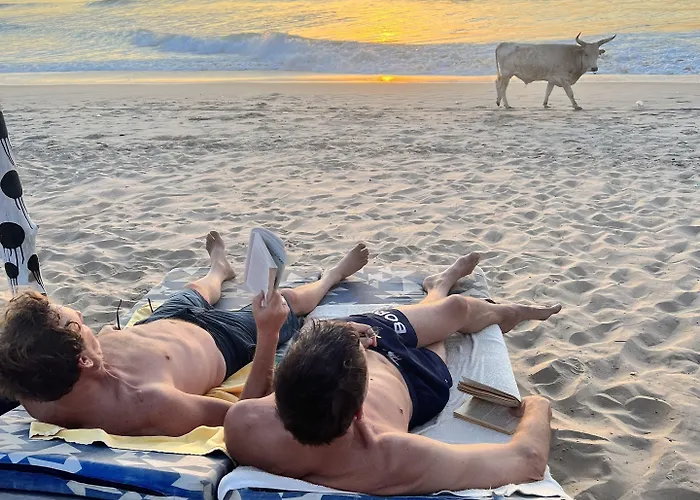 Nemasu Eco-Lodge Gunjur