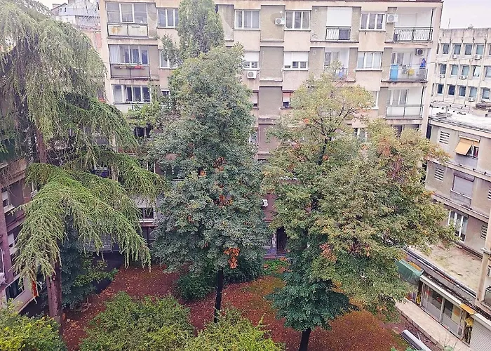 Error 3 Belgrad