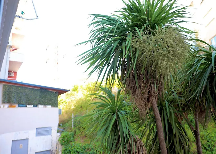 Ferienwohnung Casa Miel En El Botanico Tirana