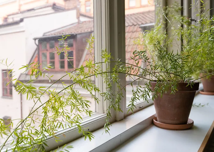STF Hostel Stigbergsliden Göteborg