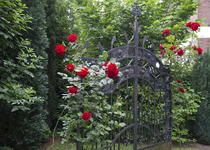 Boutiquehotel Dreesen - Villa Godesberg Bonn