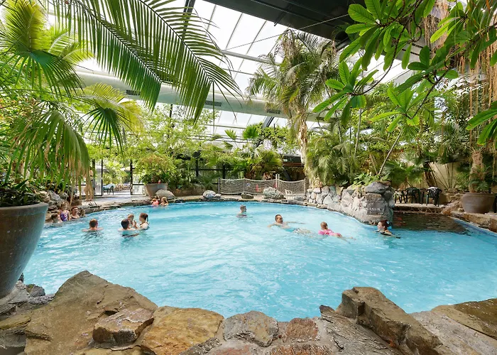 Center Parcs Meerdal Limburg-Brabant America