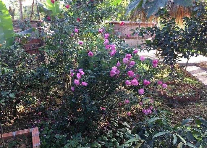 Van Long Family Homestay Ninh Binh