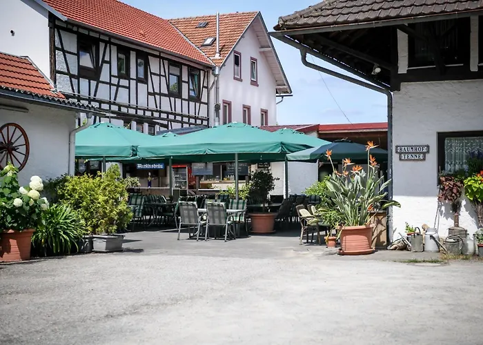 Hotel- Landgasthof Baumhof-Tenne Marktheidenfeld