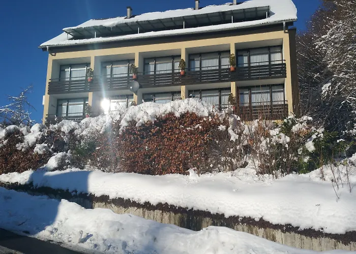 Panorama Hotel Pension Frohnau Bad Sachsa