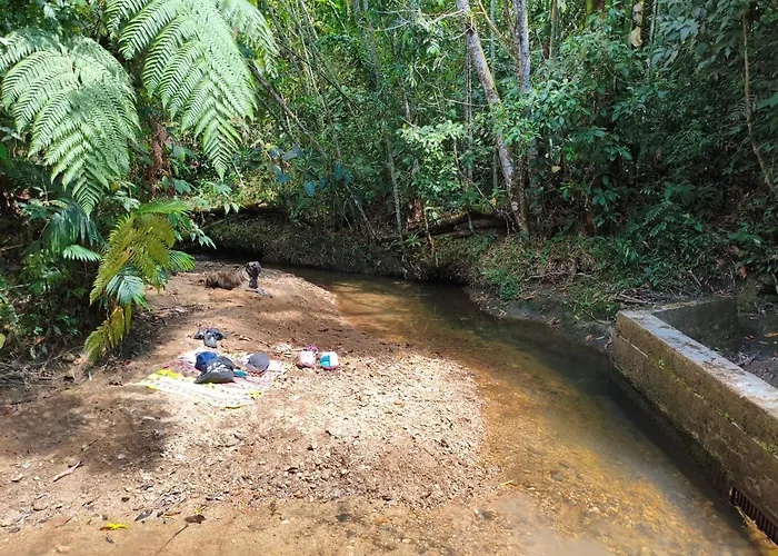 Cabana Ecologica Finca Cometa San Agustín