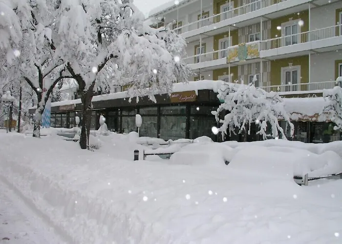 Hotel Luitpold Bad Wörishofen