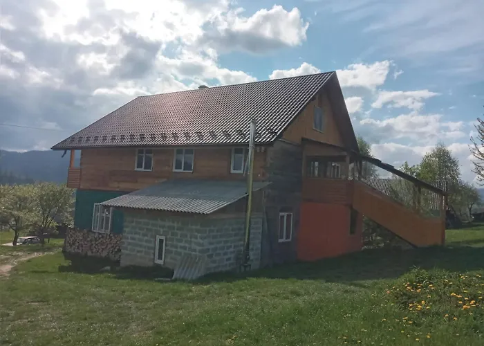 Смерека Mykulytschyn
