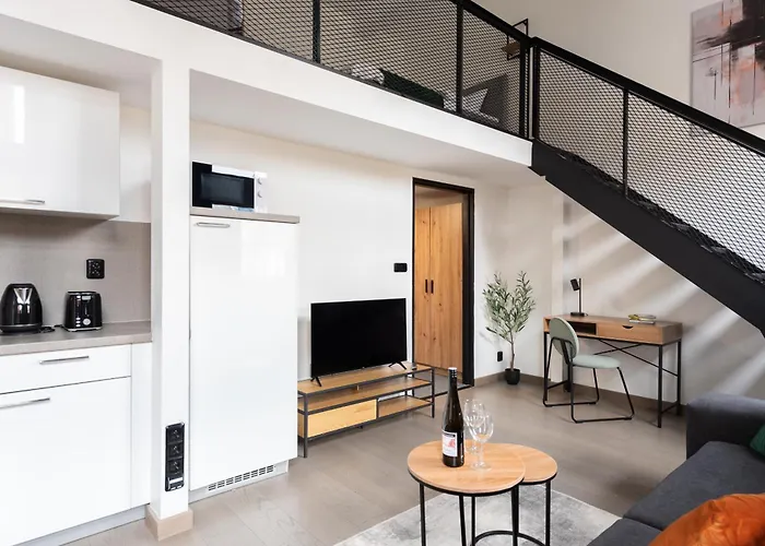 Spacious Loft-Aparts On Karlin Prag