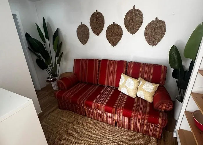 Villa Simple House In The Heart Of The Historic Center Porto